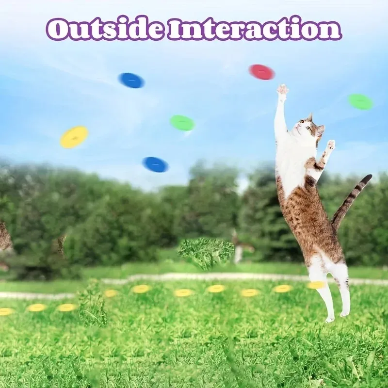 Funny Cat Toys Creative Turnip - Frisbee Freestyle Disc reseña y precio