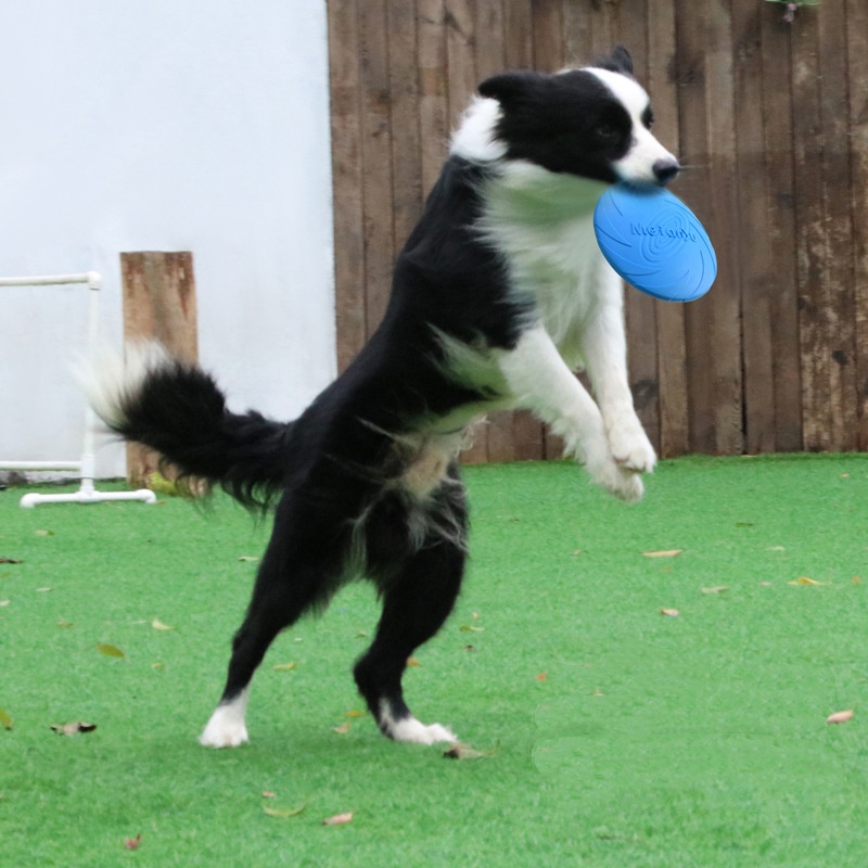Multicolor Silicone Dog Frisbe - Frisbee Freestyle Disc reseña y precio