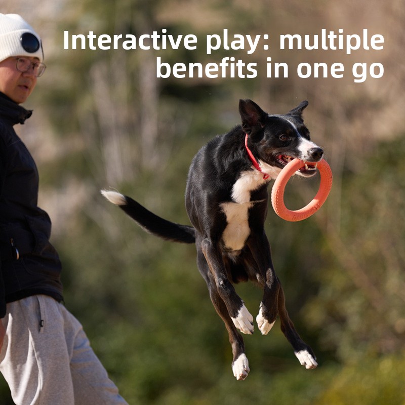 Bite-resistant soft pull-ring  - Frisbee Freestyle Disc reseña y precio