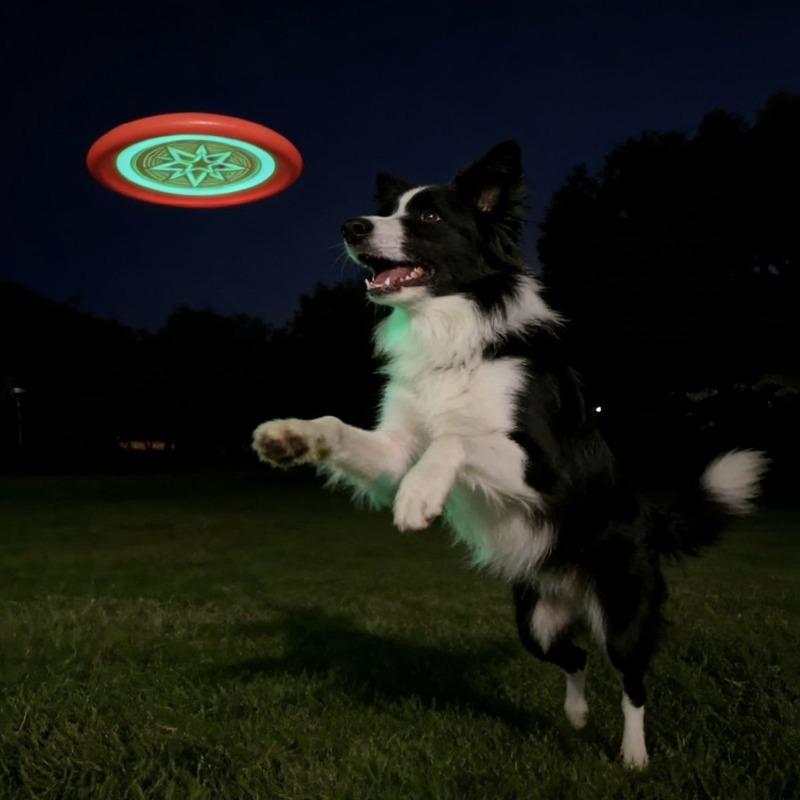 Glow in the Dark Dog Frisbee,  - Frisbee Freestyle Disc reseña y precio