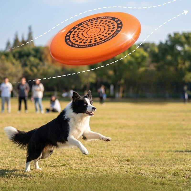 Dog Frisbee 27CM Durable Chew  - Frisbee Freestyle Disc reseña y precio