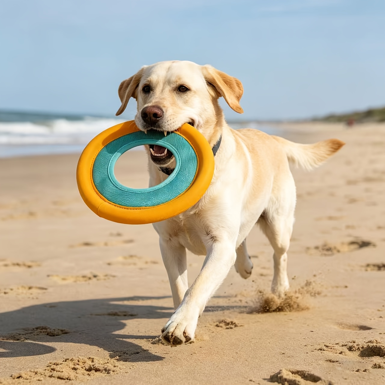 Floating Dog Frisbee, Outdoor  - Frisbee Freestyle Disc reseña y precio
