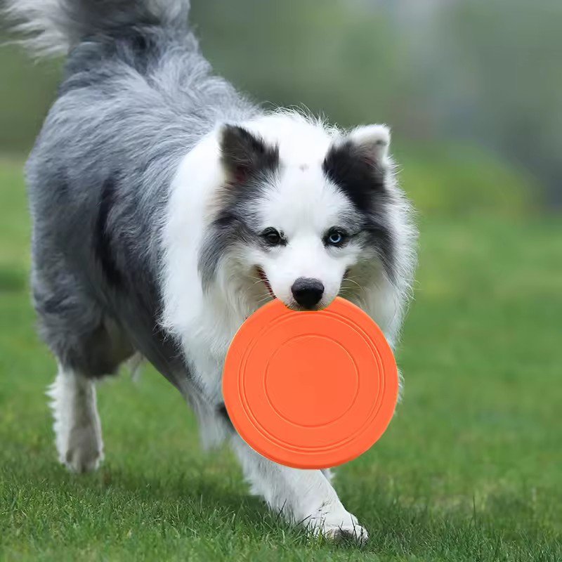 Durable Chewable Pet Training  - Frisbee Freestyle Disc reseña y precio