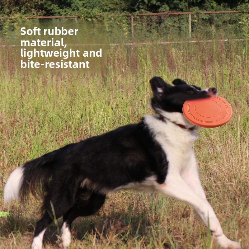 Soft Flying, Dog Toys Interact - Frisbee Freestyle Disc reseña y precio
