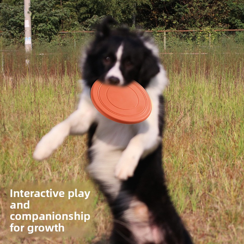 Soft Flying, Dog Toys Interact - Frisbee Freestyle Disc reseña y precio