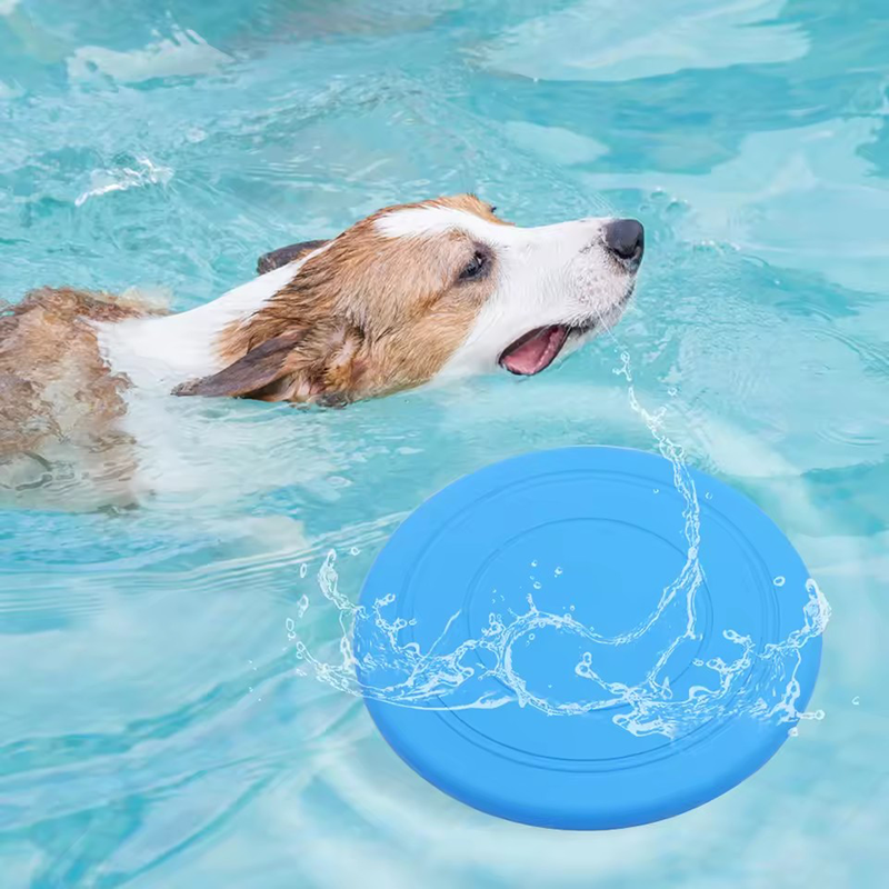 Durable Chewable Pet Training  - Frisbee Freestyle Disc reseña y precio