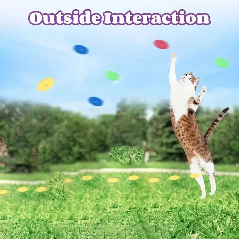 Funny Cat Toys Creative Turnip - Frisbee Freestyle Disc reseña y precio