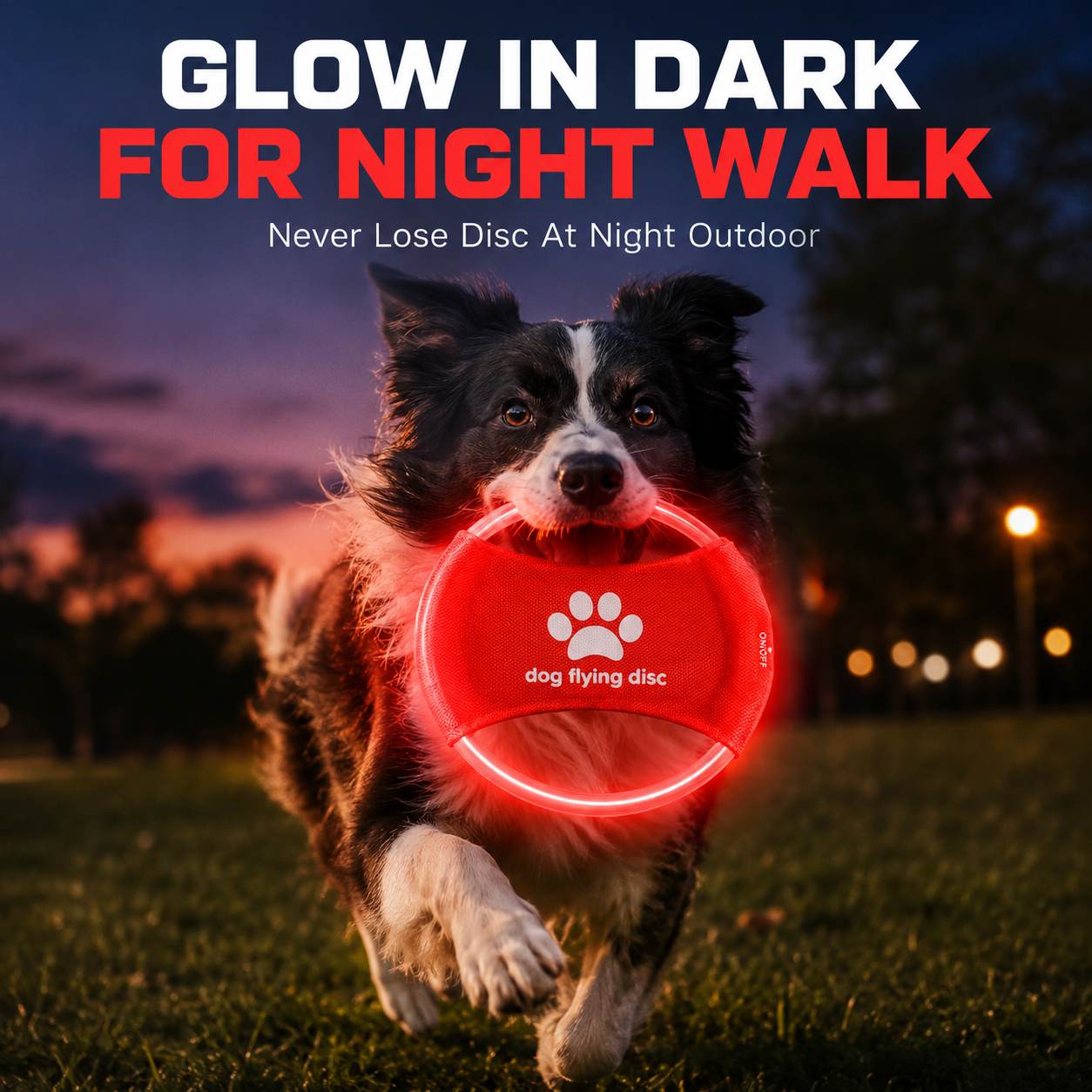 LED Glow Dog Flying Disc USB R - Frisbee Freestyle Disc reseña y precio